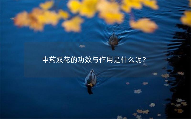 中药双花的功效与作用是什么呢？