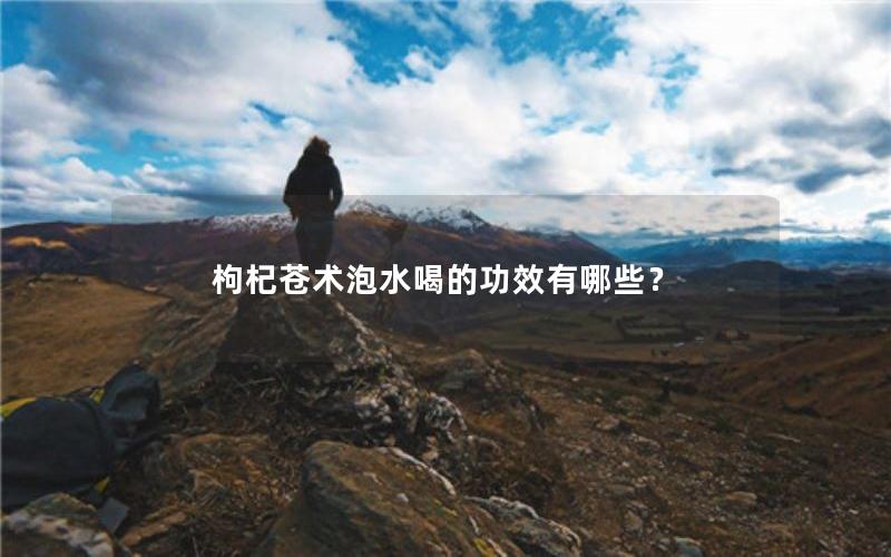 枸杞苍术泡水喝的功效有哪些？