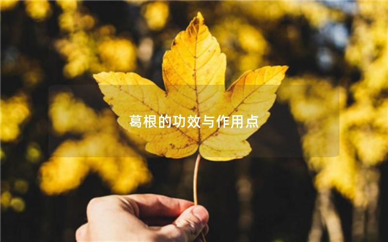葛根的功效与作用点