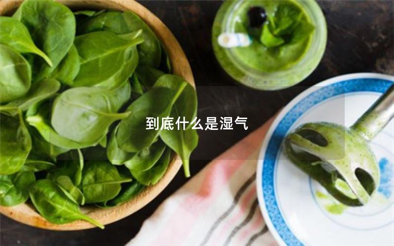 到底什么是湿气