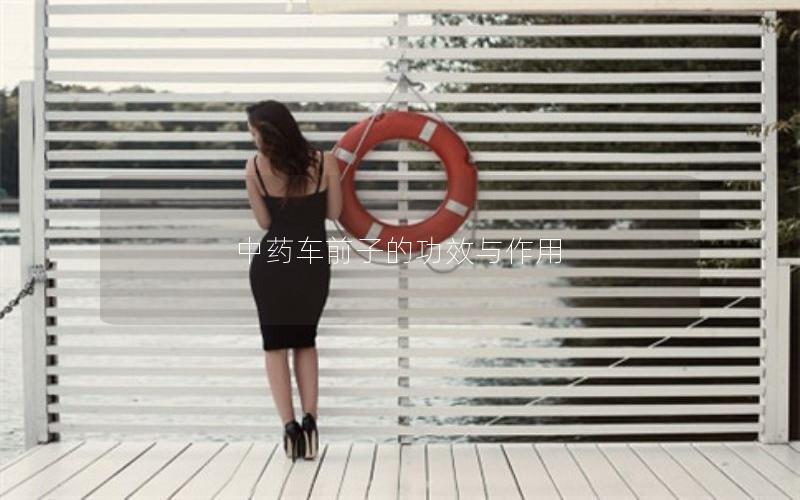中药车前子的功效与作用