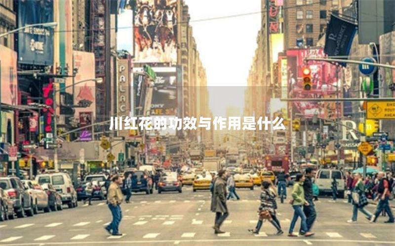川红花的功效与作用是什么