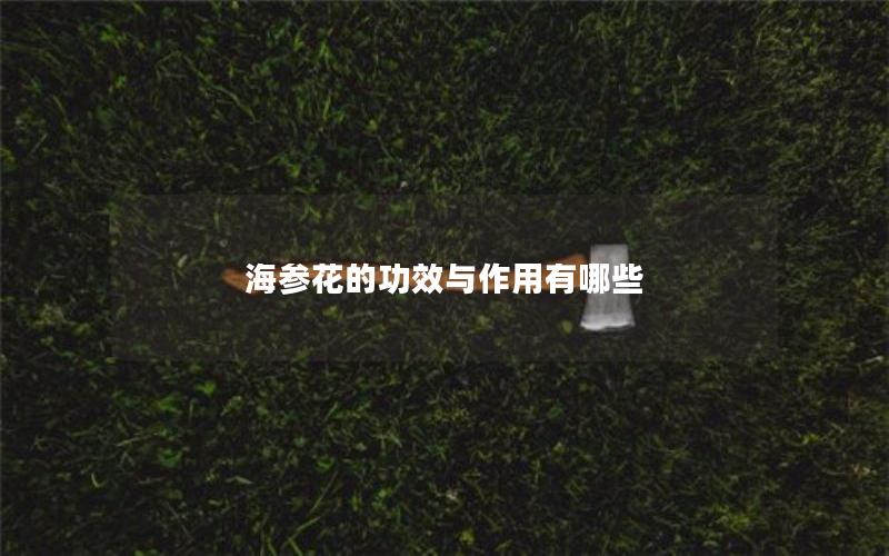海参花的功效与作用有哪些